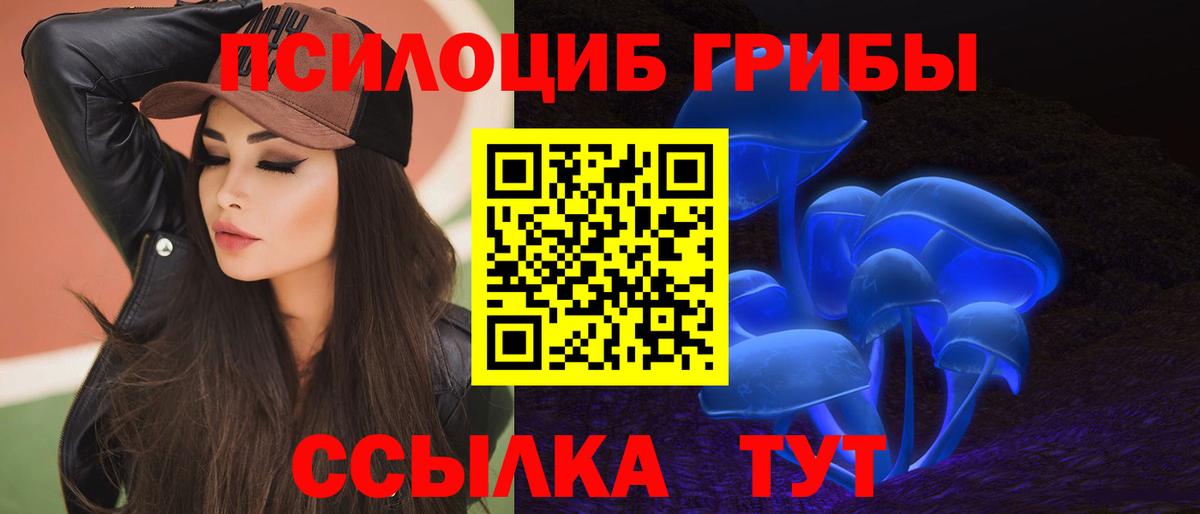 Псилоцибиновые грибы Psilocybe Тимашёвск